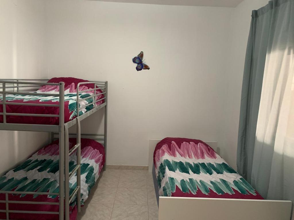 Tres Habitaciones Privadas 4Huespedes 4Huespedes 2Huespedes Piso A Compartir Σαν Κριστόμπαλ ντε Λα Λαγούνα Εξωτερικό φωτογραφία